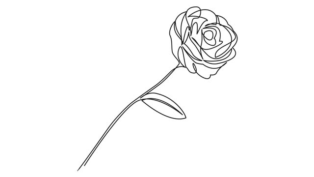 animated continuous single line drawing of a rose