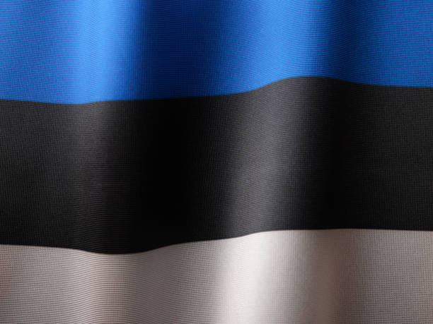 istock Flag of Estonia 1463773202