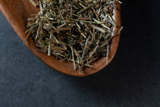 istock chinese medicine Sculellaria barbata on black background 1463774526