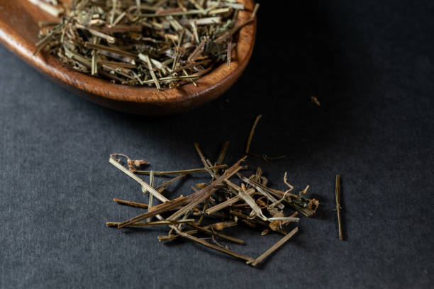 istock chinese medicine Sculellaria barbata on black background 1463774583