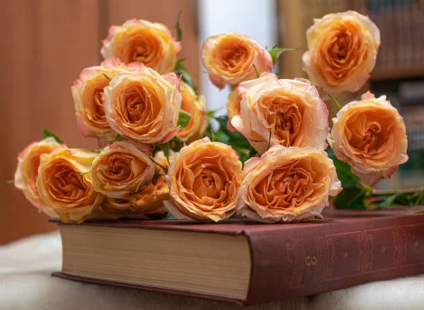 istock A bouquet of pink roses lies on a book. Thirst for knowledge, interesting book, romantic plot 1463776447