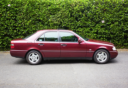 Cape Town, South Africa - February 5, 2023: Side view of a well-preserved late-1990s Mercedes-Benz 230K Sport in deep metallic maroon, against a lush hedge of hibiscus covered in blossoms, parked in a street in a wealthy suburb of Cape Town, South Africa.