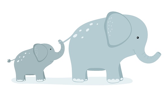 Cute cartoon baby elephant holds the tail of his mom. Flat vector illustration.