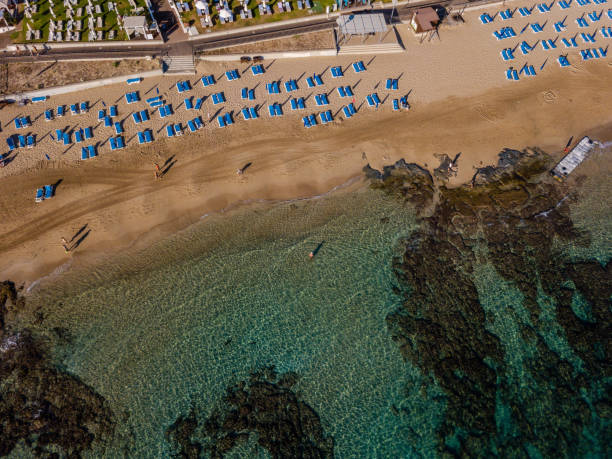 istock Top view on blue sun loungers on the beach 1463789632