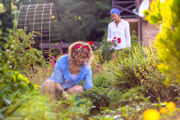 istock Women working in the garden 1463790702
