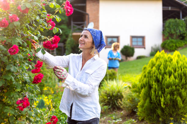 istock Women working in the garden 1463790915