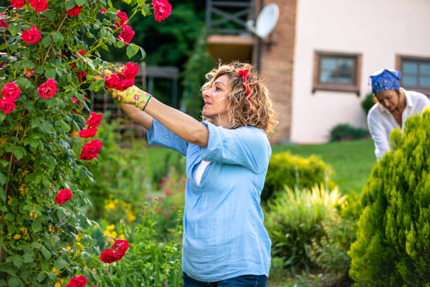 istock Woman working in the garden 1463790935
