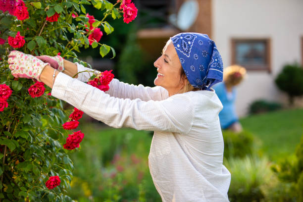 istock Woman working in the garden 1463790946