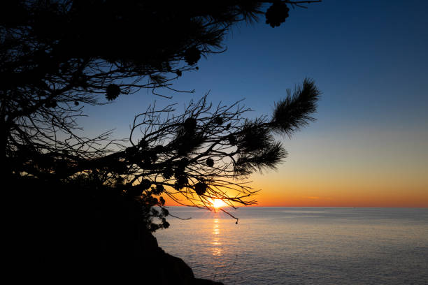 This sunrise was taken in the Costa Brava, Girona next to the coast and seeing to the sea.