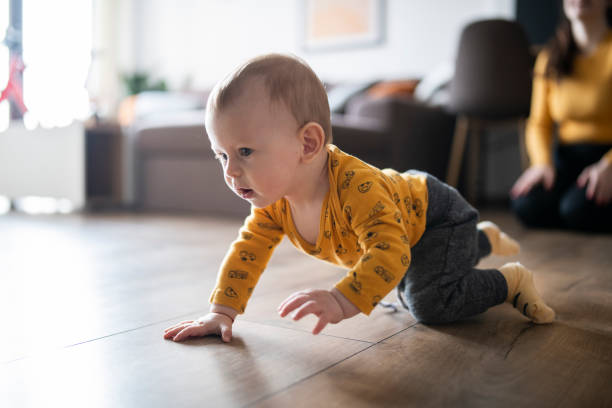 istock Baby boy's crawling adventure. 1463799234