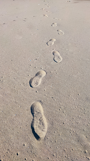 Photo of human footprint beside dog footprint on the tropical beach