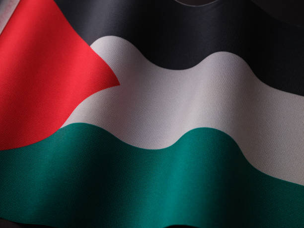 istock Flag of Palestine 1463804977