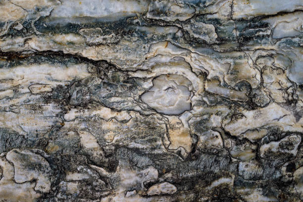 istock Rustic stones, corroded textures, colorful and interesting backgrounds and charming textures, used for web design and abstract backgrounds 1463805563