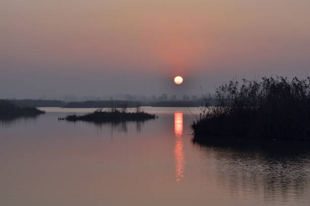 istock Sunrise in the swamp, Valle Santa, Argenta 1463806535