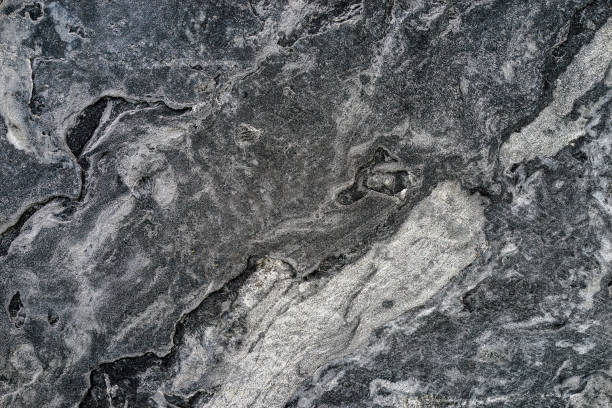 Close up background of yellow limestone with beautiful structure and fossil shells. Very elegant and modern backdrop for wallpaper or other use.