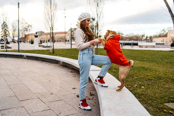 istock Young Woman Playing With Her Dog Outside 1463810796