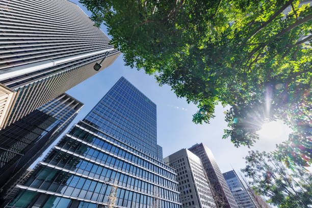 istock Buildings in Tokyo with beautiful sunlight 1463814672