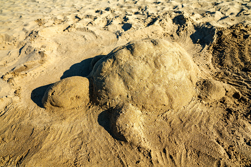 Sea turtle made of sand on the beach.