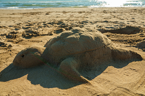 Sea turtle made of sand on the beach.