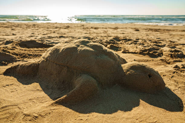 istock Sea turtle made of sand on the beach. 1463818061