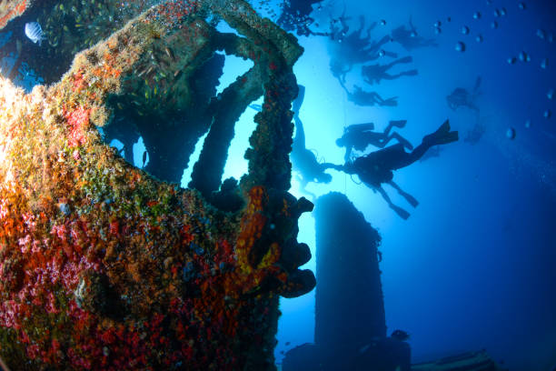 istock Wreck Dive in Recife, Brazil. 1463819329
