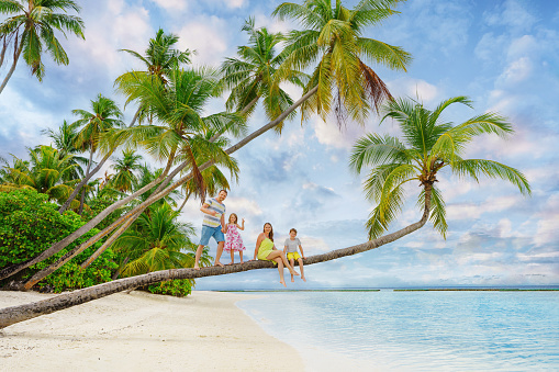 Young family on vacation have a lot of fun on palmtree