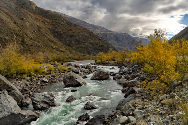 istock Impassable rapids of the Chulyshman River 1463820333