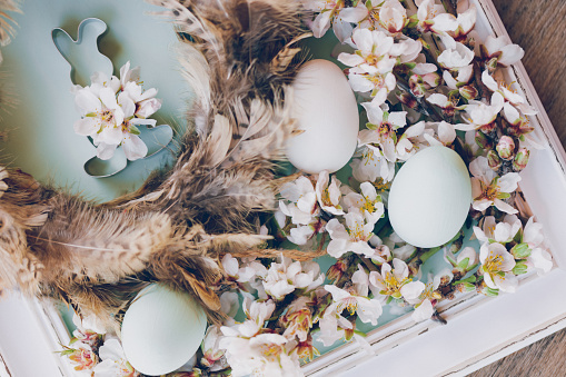 Pastel mint green and white Easter eggs and an easter bunny shape in a brown nest of feathers with almond blossom branches. Color editing with added grain. Very selective and soft focus. Part of a series.