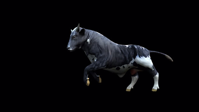 Big Bull running around on a farm in 3d with transparent (alpha) background