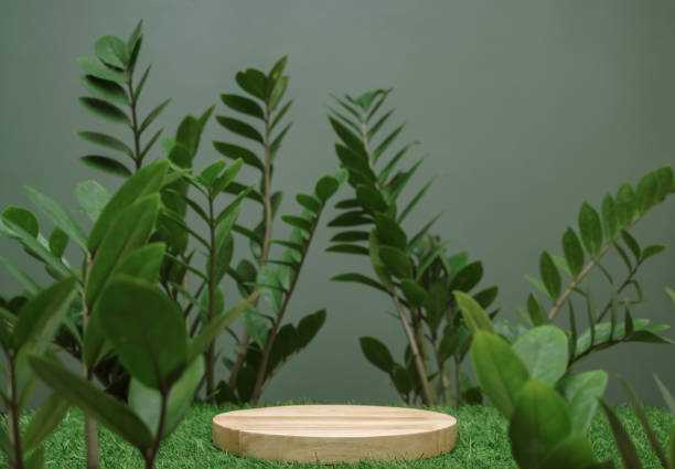 istock empty table top wood counter podium on grass tropic forest jungle plant blurred dark green background.natural product present placement pedestal promotion display,spring or summer minimal advertising. 1463830556