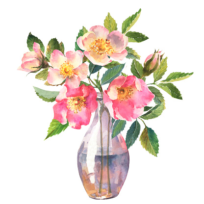Botanical rose hip flower watercolor. Watercolor bouquet of wild rose flowers and leaves on transparent vase, hand drawn floral illustration isolated on a white background.