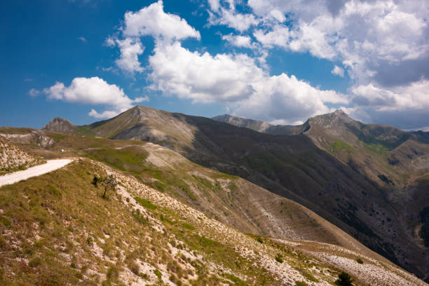 istock Summer mountain landscape, beautiful nature in Italy 1463830851