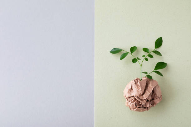 istock Eco, zero waste, plastic free and saving energy concept from sprout with green leaves growing from recycled craft paper top view. 1463835665