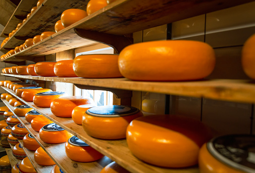 Dutch cheese wheels are stacked and available for purchase by the general public.