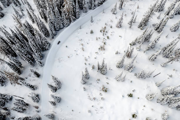 istock Drone overhead view of snowmobile rider going through alpine forest 1463838442