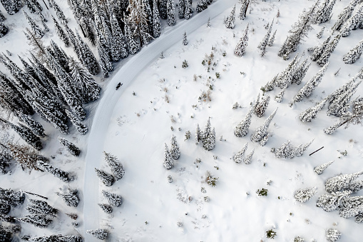 Drone overhead view of snowmobile rider going through alpine forest