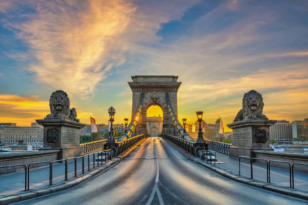 budapeste hungria, cidade skyline nascer do sol em chain bridge com famosa estátua de leão - chain bridge bridge budapest cityscape - fotografias e filmes do acervo