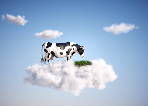 Cow sitting on a cloud in the sky . Dreaming and aspirations concept . This is a 3d render illustration