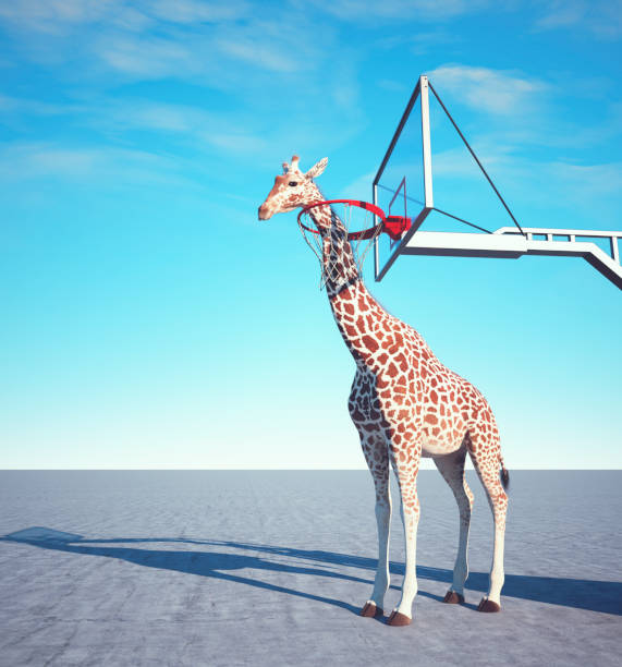 istock Abstract image with a giraffe near the basketball hoop. 1463840075