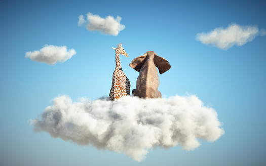 Elephant and giraffe sitting on a cloud in the sky. Dreaming and aspirations concept.
