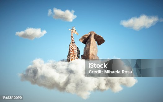 istock Elephant and giraffe sitting on a cloud in the sky. Dreaming and aspirations concept. 1463840090