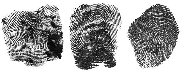 istock Collection of black fingerprints made with ink, isolated on a white background. Human fingerprint. 1463841987