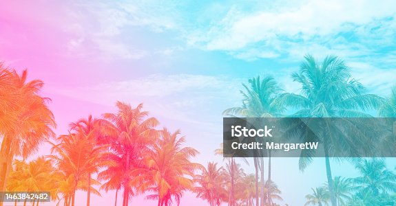 istock Beautiful multicolor tropical background of palm trees. 1463842482