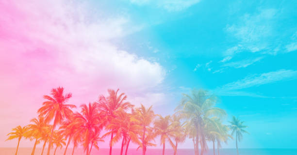 istock Beautiful multicolor tropical background of palm trees. 1463842564