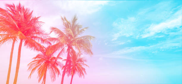 istock Beautiful multicolor tropical background of palm trees. 1463842573