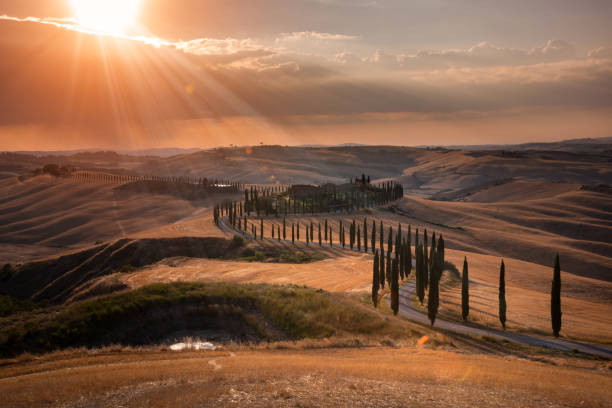istock Road with cypresses on sunset in Tuscany, Italy 1463842819