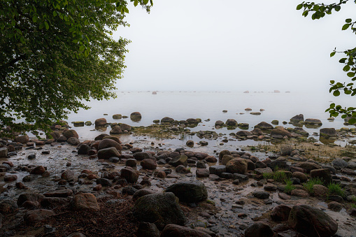 Baltic sea shore covered with fog.