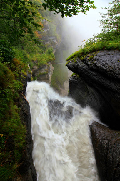 istock The Rychenbachfall waterfall among mountains and trees near Meiringen 1463848850