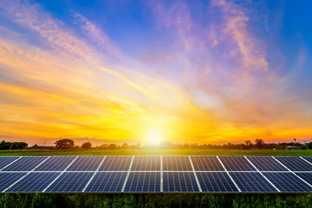 istock Photovoltaic modules solar power plant on dramatic sunset sky background,clean Alternative power energy concept. 1463849225