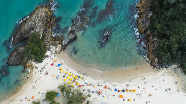 istock TRINDADE BEACH IN SAO PAULO 1463854337